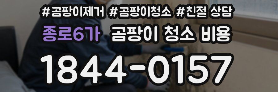 종로6가 곰팡이 청소 비용