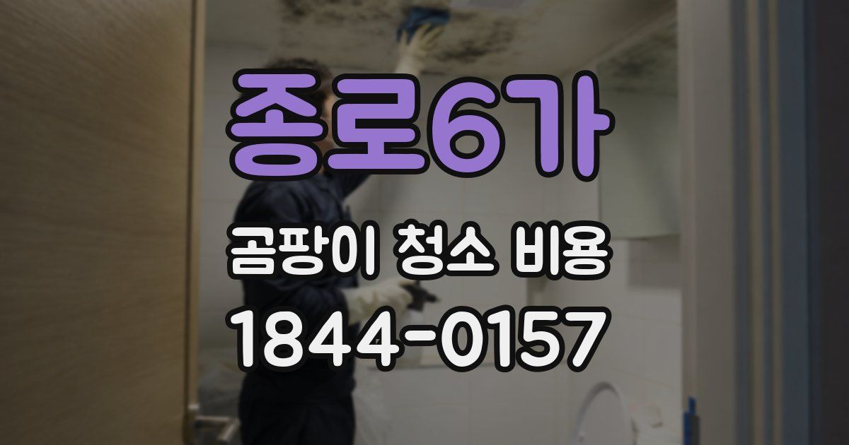 종로6가 곰팡이 청소 비용
