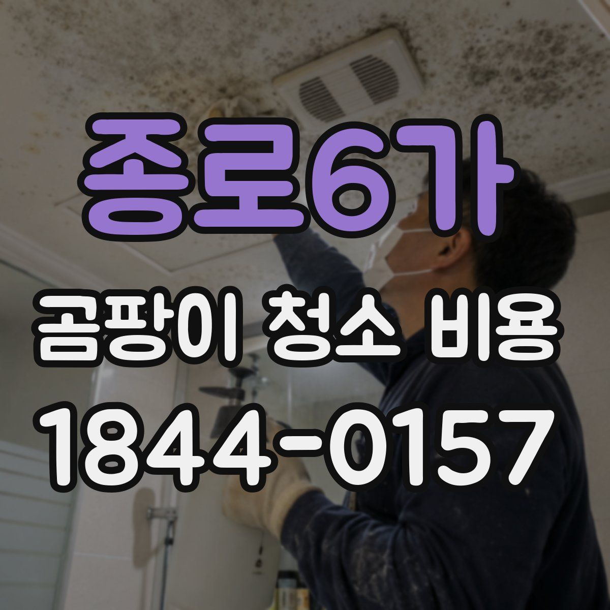 종로6가 곰팡이 청소 비용