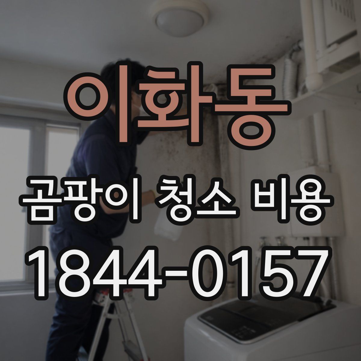 이화동 곰팡이 청소 비용