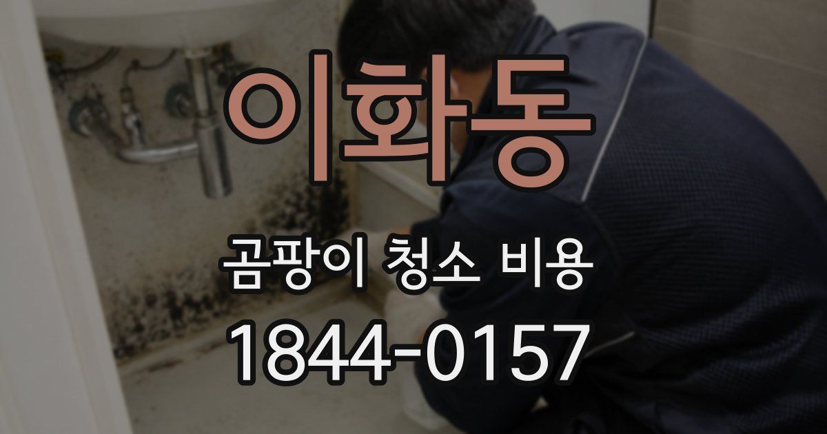 이화동 곰팡이 청소 비용