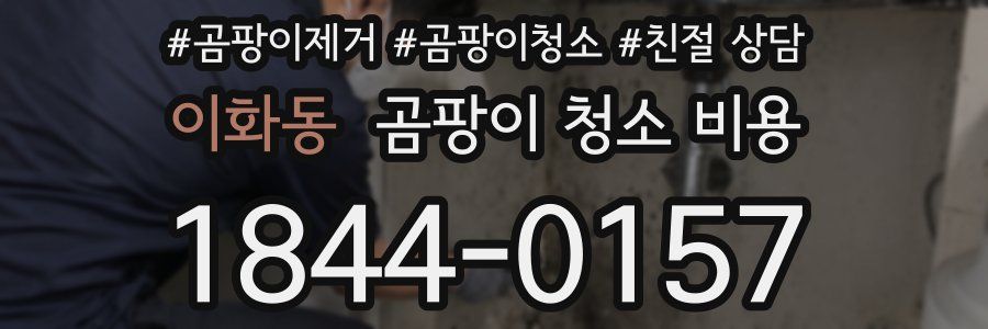 이화동 곰팡이 청소 비용