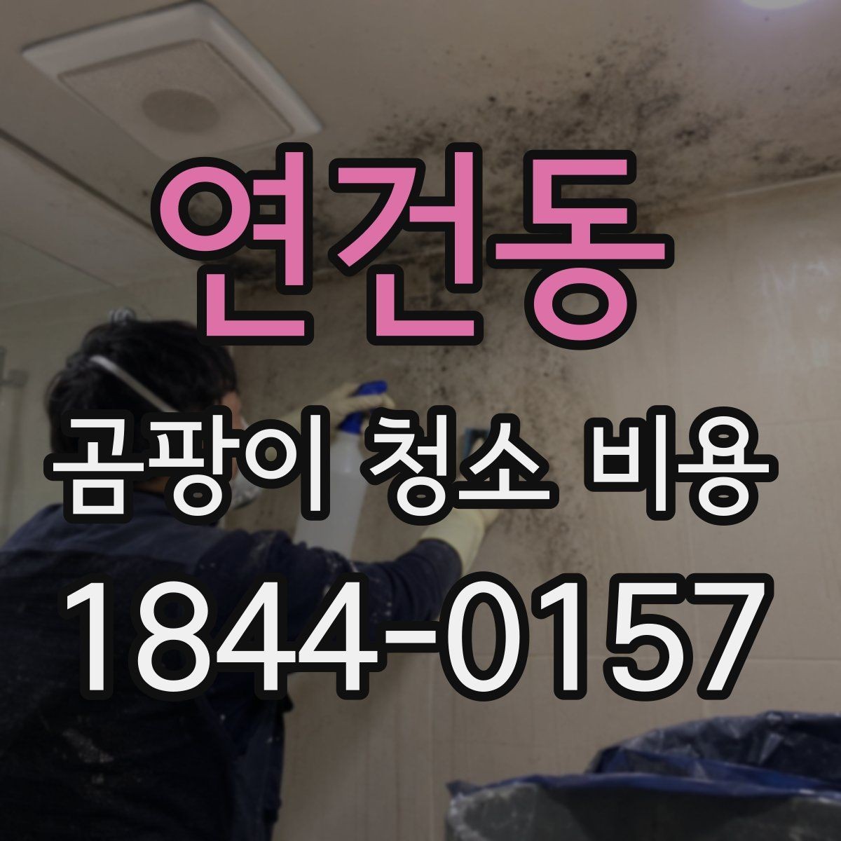 연건동 곰팡이 청소 비용 확인 전 알아야 할 기본 사항