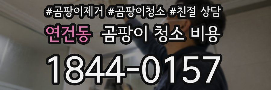 연건동 곰팡이 청소 비용
