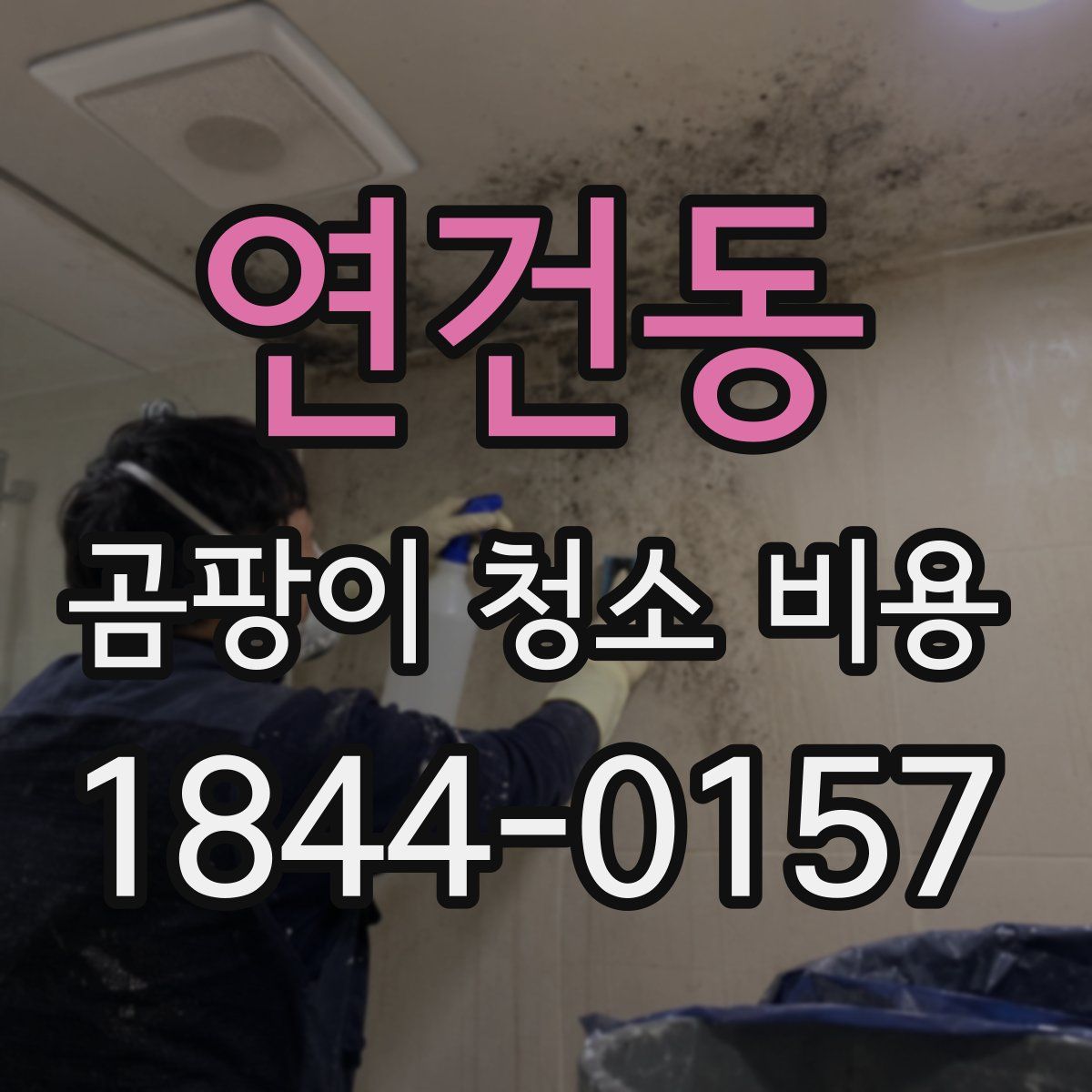 연건동 곰팡이 청소 비용