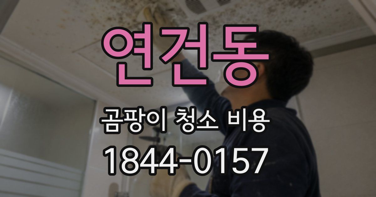 연건동 곰팡이 청소 비용