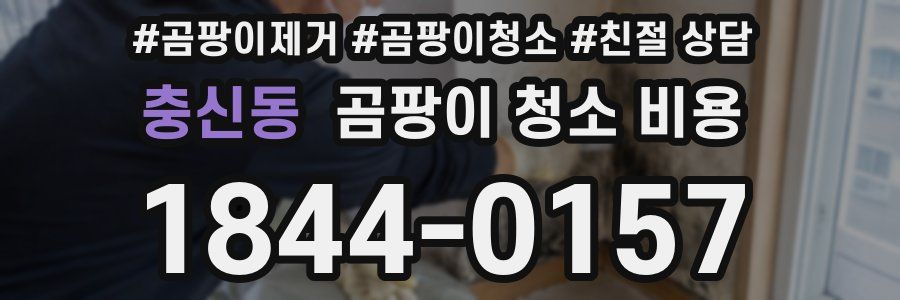 충신동 곰팡이 청소 비용