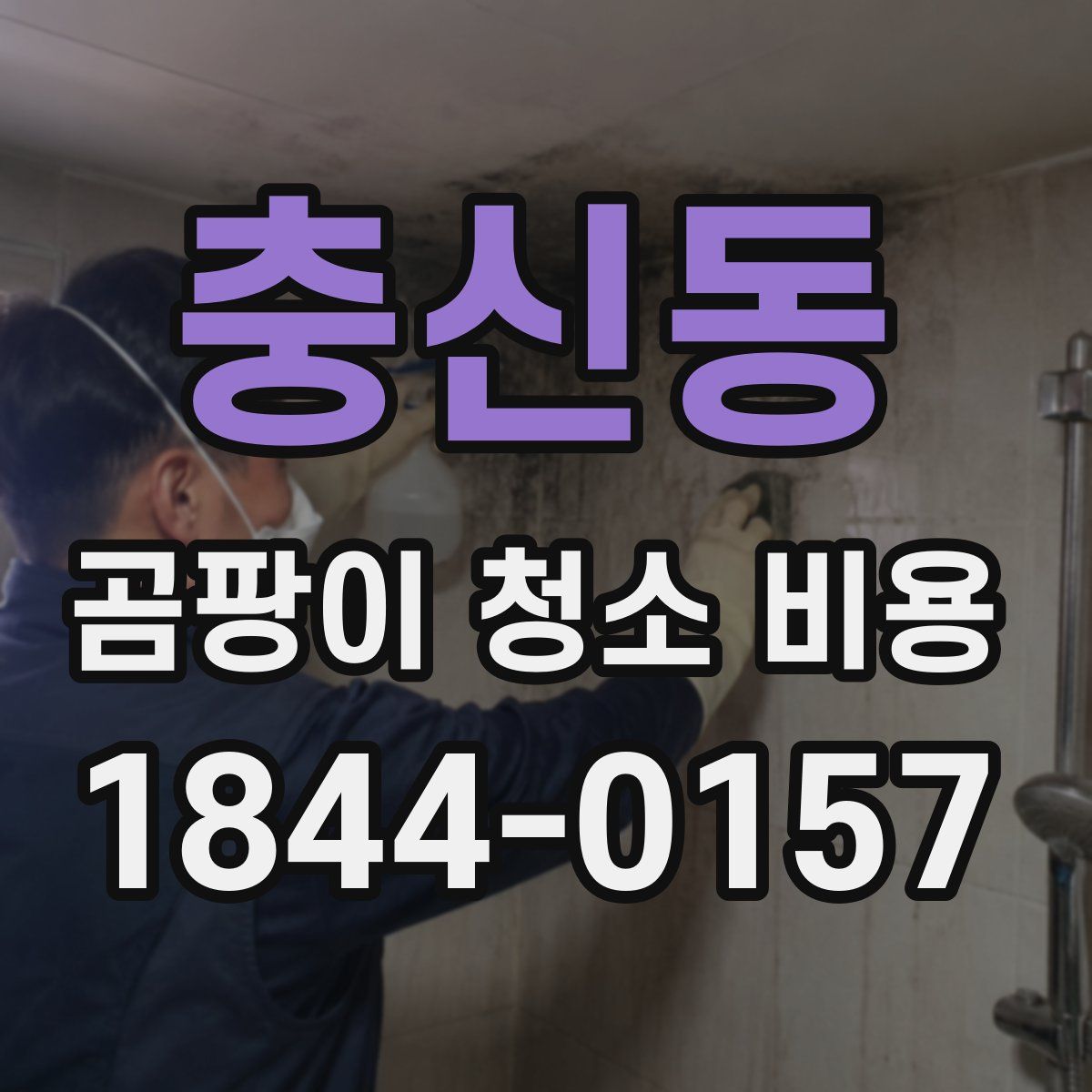 충신동 곰팡이 청소 비용