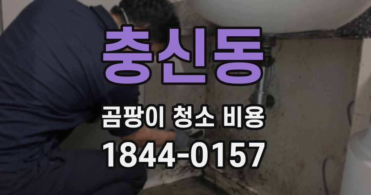 충신동 곰팡이 청소 비용
