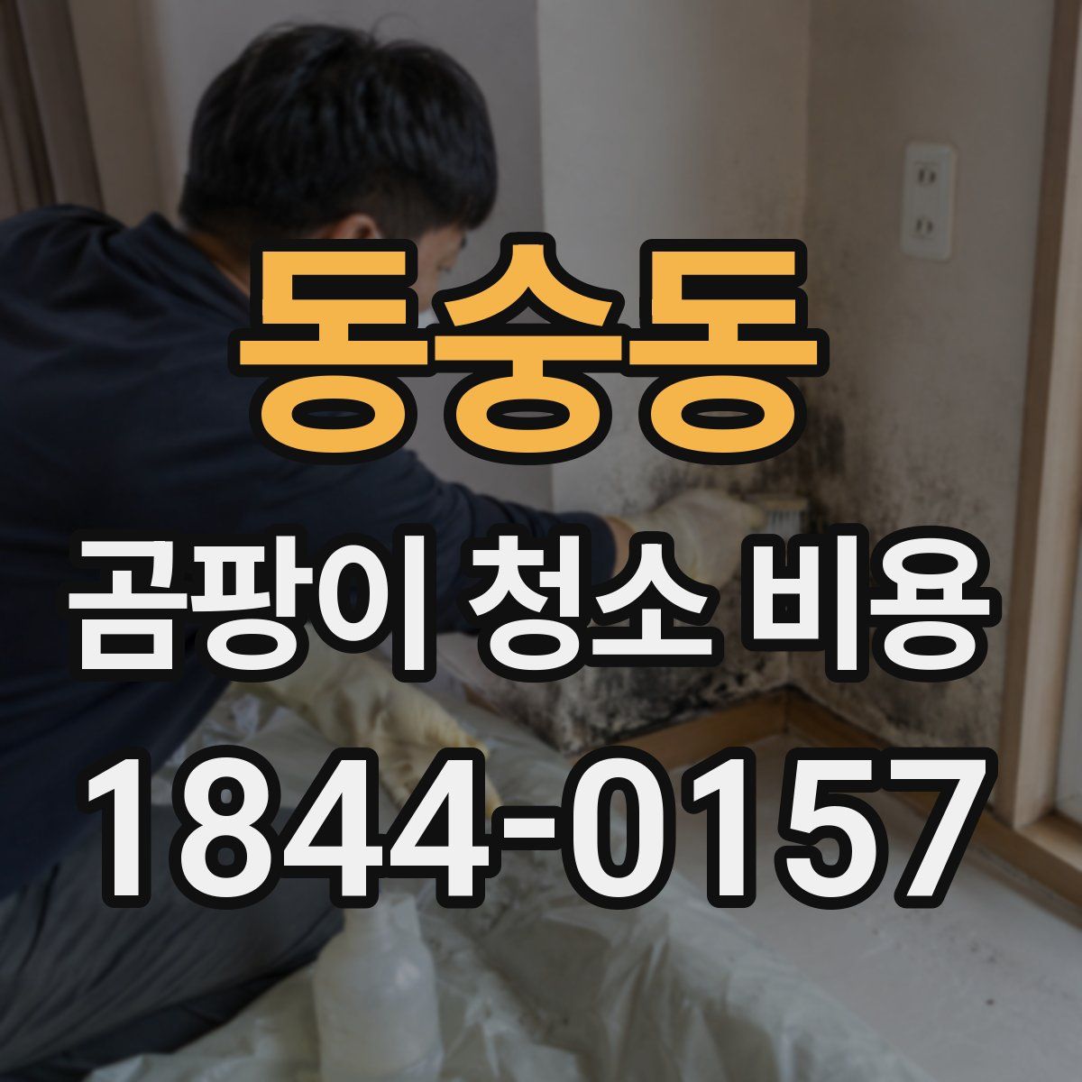 동숭동 곰팡이 청소 비용