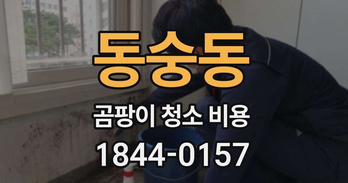 동숭동 곰팡이 청소 비용