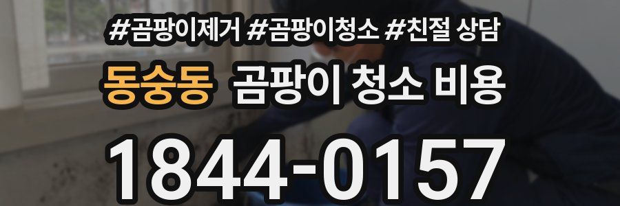 동숭동 곰팡이 청소 비용