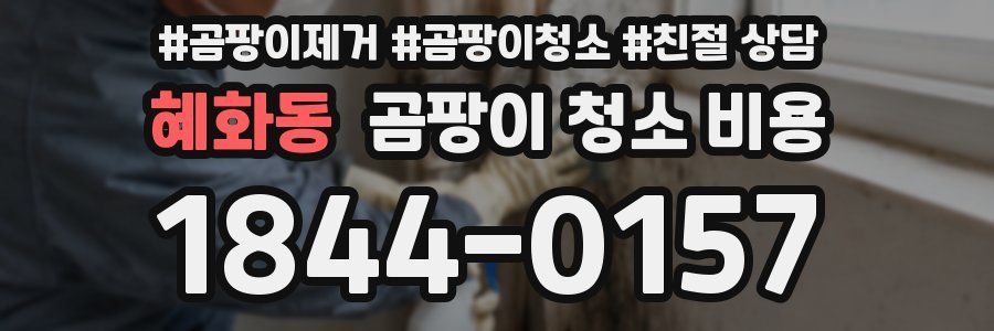 혜화동 곰팡이 청소 비용
