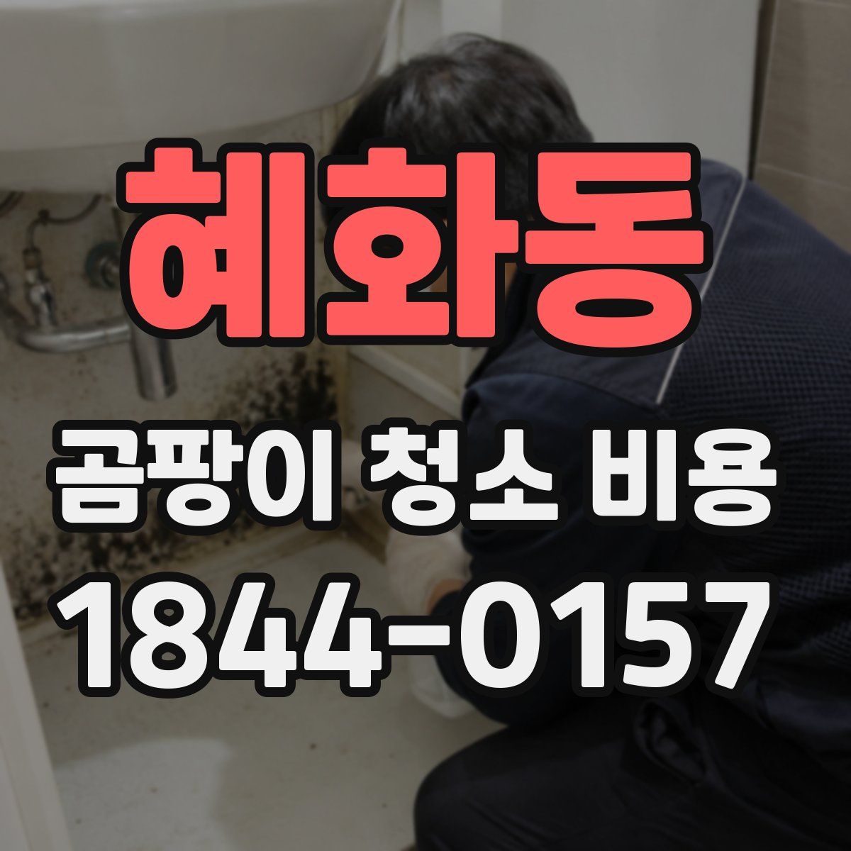 혜화동 곰팡이 청소 비용