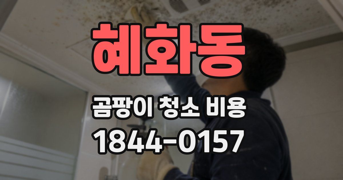 혜화동 곰팡이 청소 비용