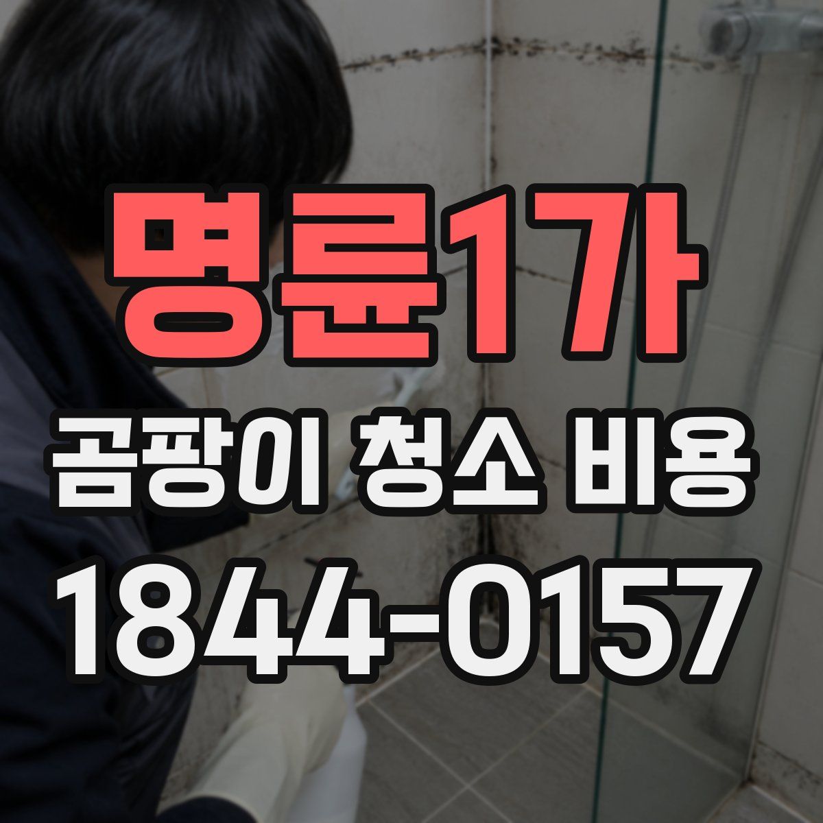 명륜1가 곰팡이 청소 비용