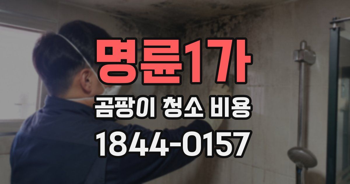 명륜1가 곰팡이 청소 비용