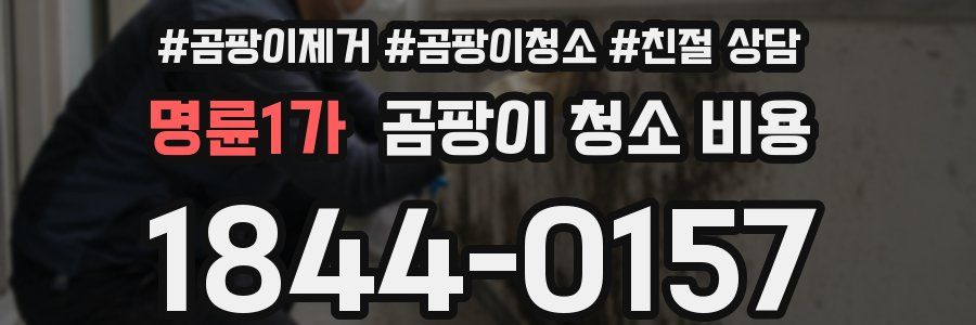 명륜1가 곰팡이 청소 비용