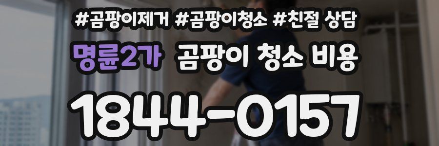 명륜2가 곰팡이 청소 비용