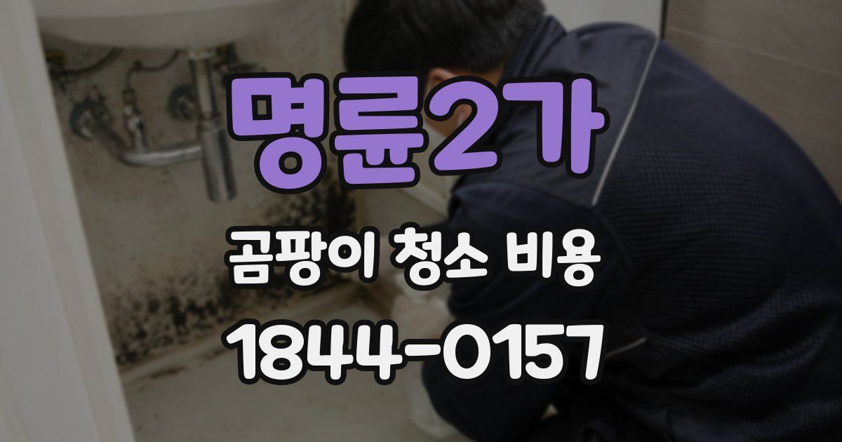명륜2가 곰팡이 청소 비용