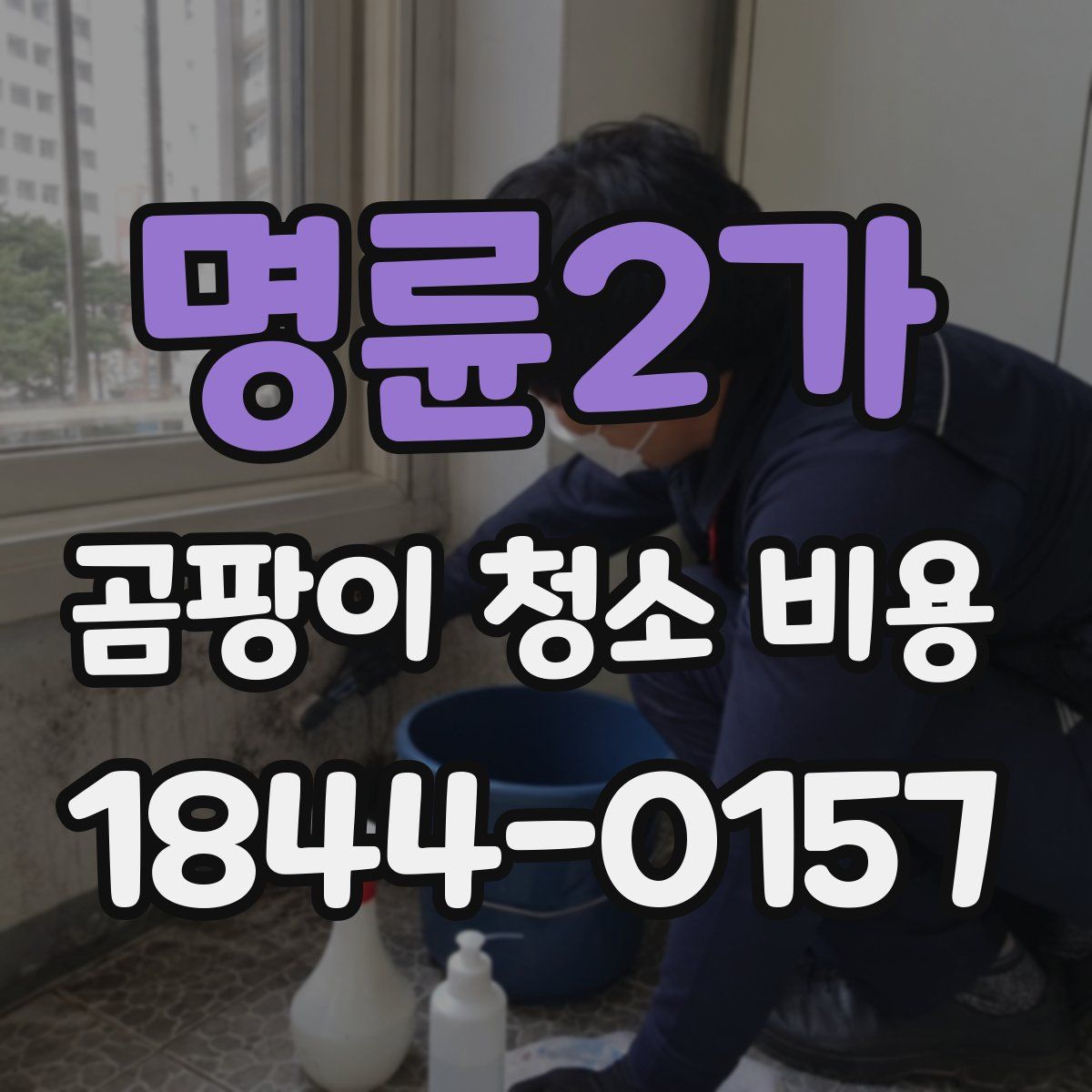 명륜2가 곰팡이 청소 비용