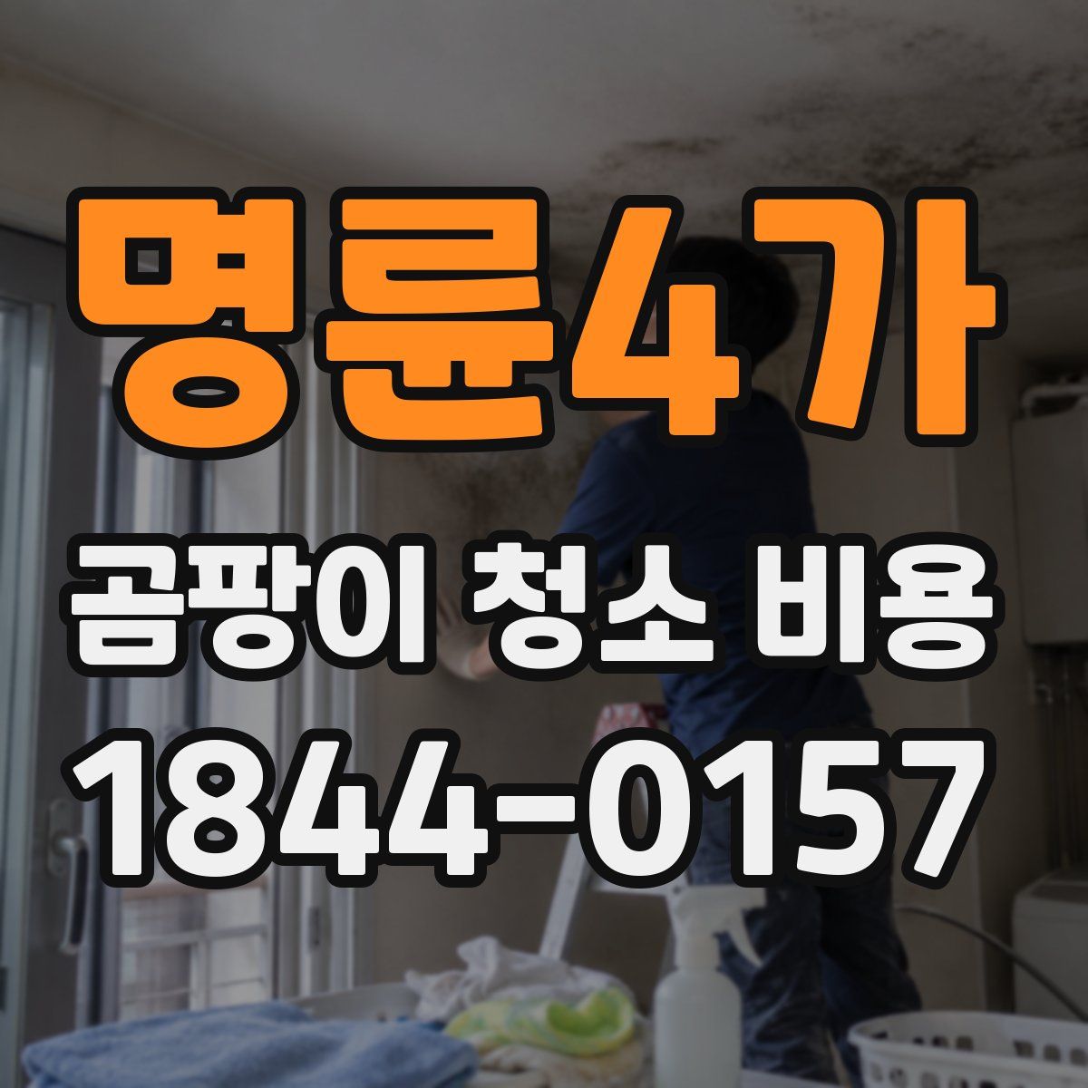 명륜4가 곰팡이 청소 비용