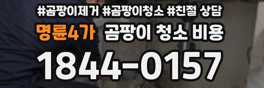 명륜4가 곰팡이 청소 비용