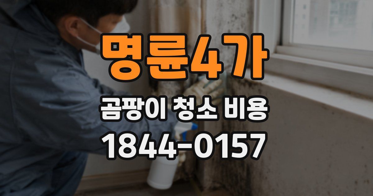 명륜4가 곰팡이 청소 비용