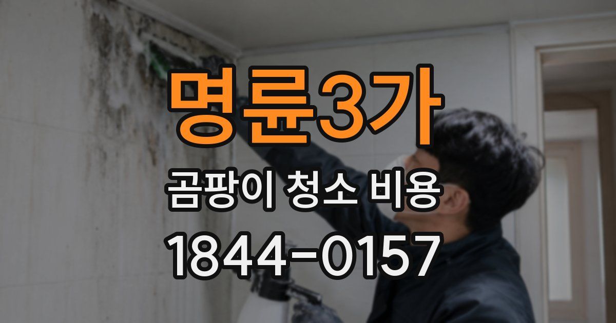 명륜3가 곰팡이 청소 비용