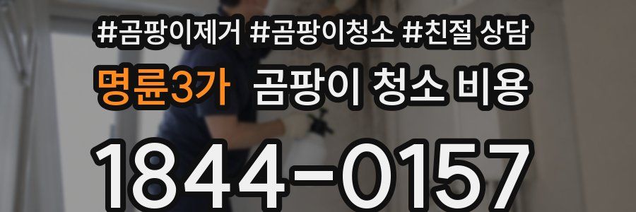 명륜3가 곰팡이 청소 비용