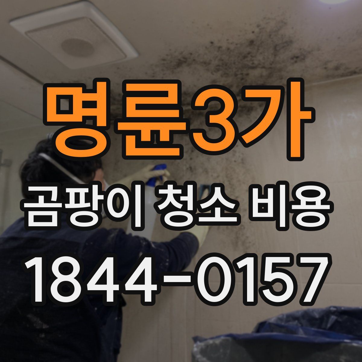 명륜3가 곰팡이 청소 비용