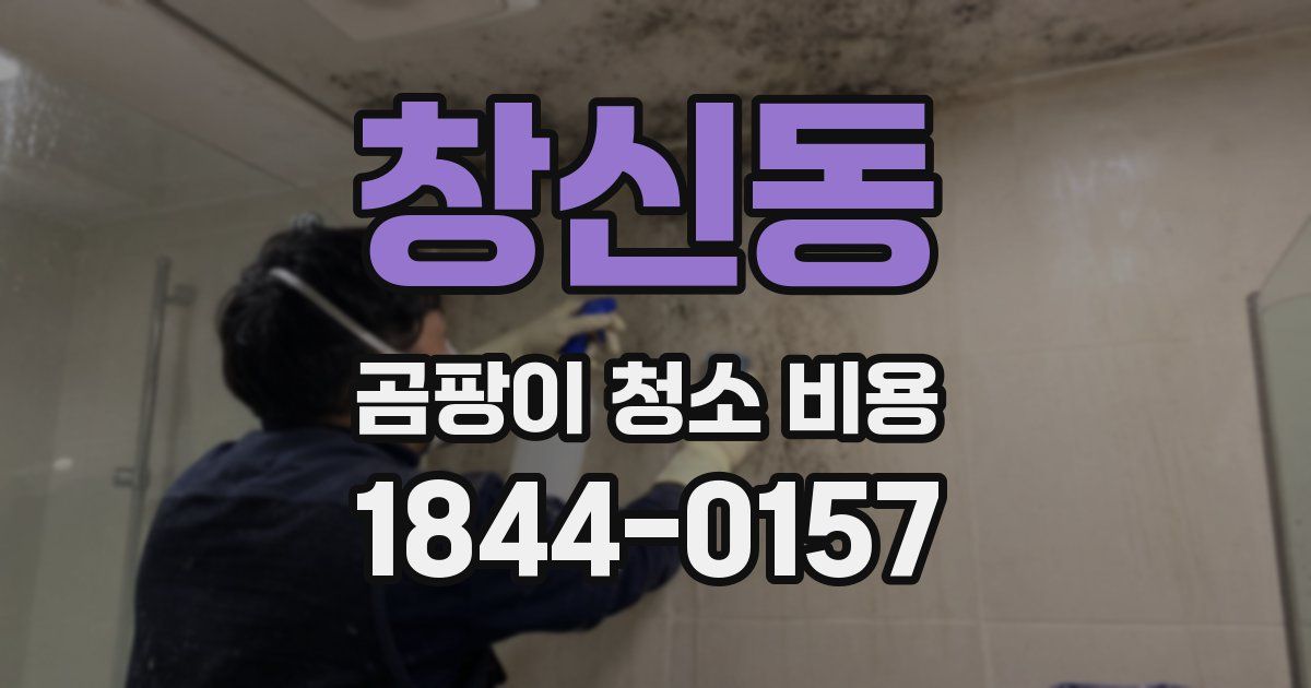 창신동 곰팡이 청소 비용
