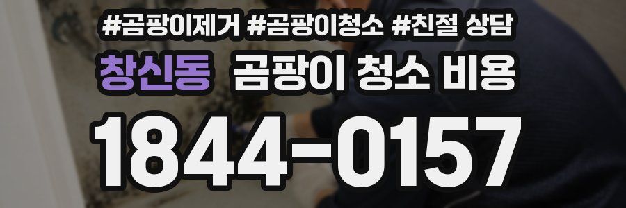창신동 곰팡이 청소 비용