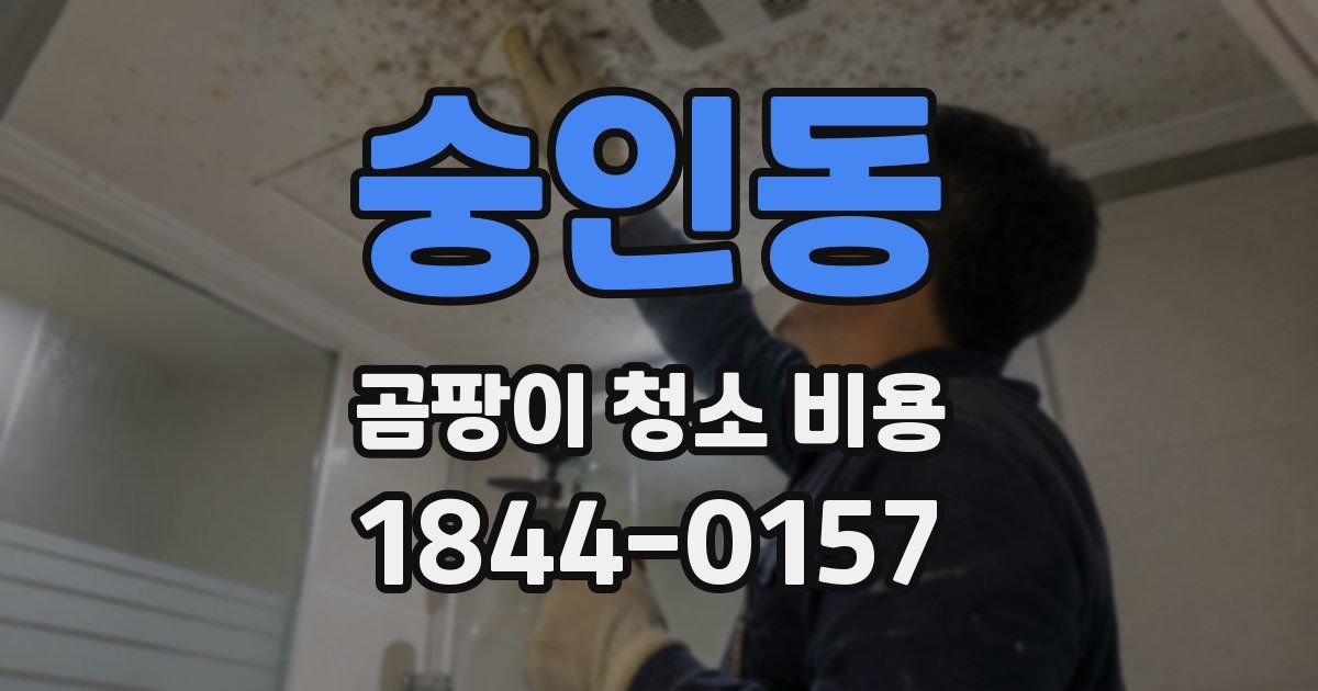 숭인동 곰팡이 청소 비용
