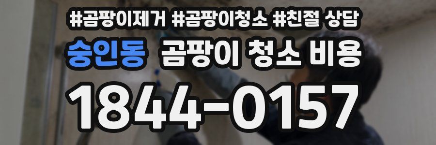 숭인동 곰팡이 청소 비용