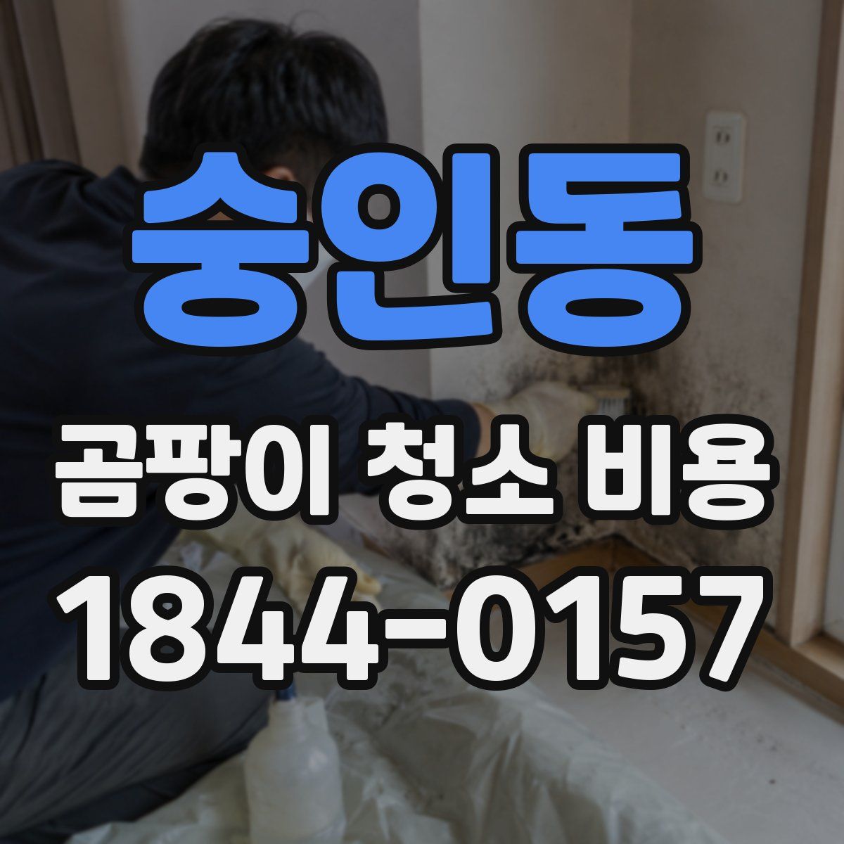숭인동 곰팡이 청소 비용