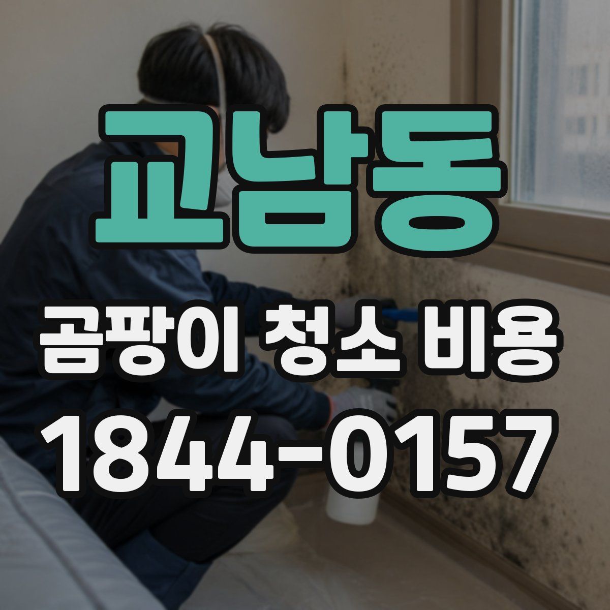 교남동 곰팡이 청소 비용