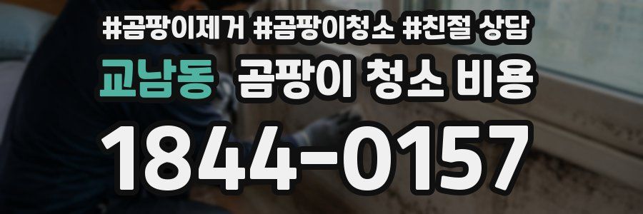 교남동 곰팡이 청소 비용