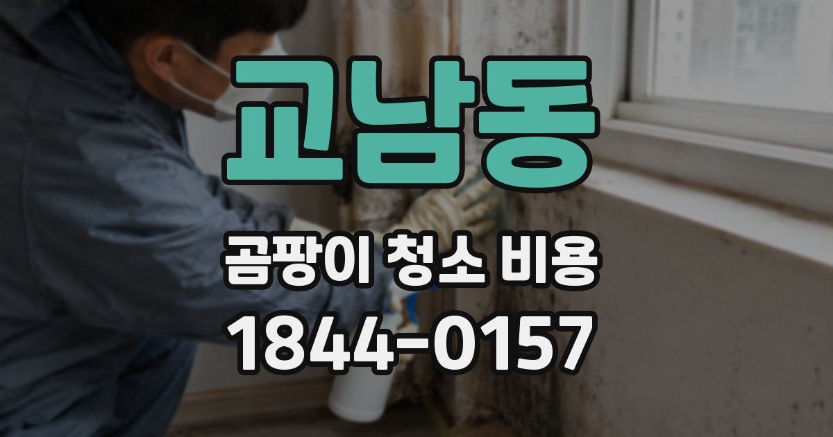 교남동 곰팡이 청소 비용