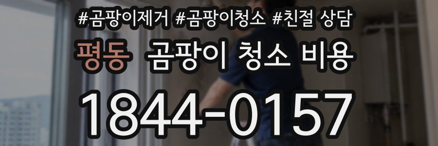 평동 곰팡이 청소 비용