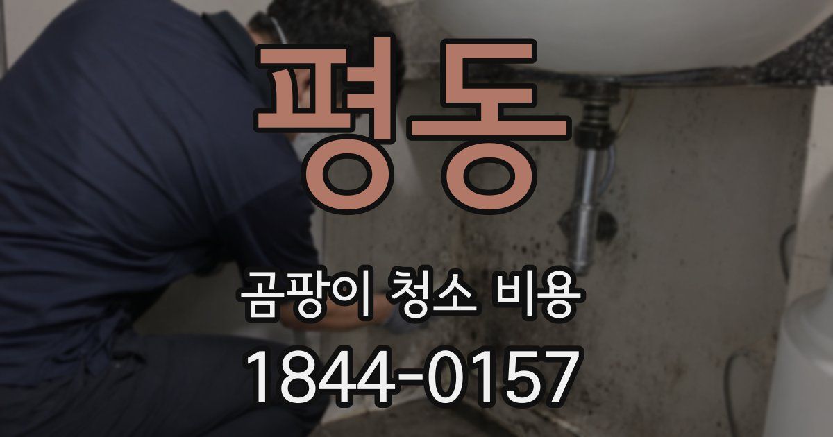 평동 곰팡이 청소 비용
