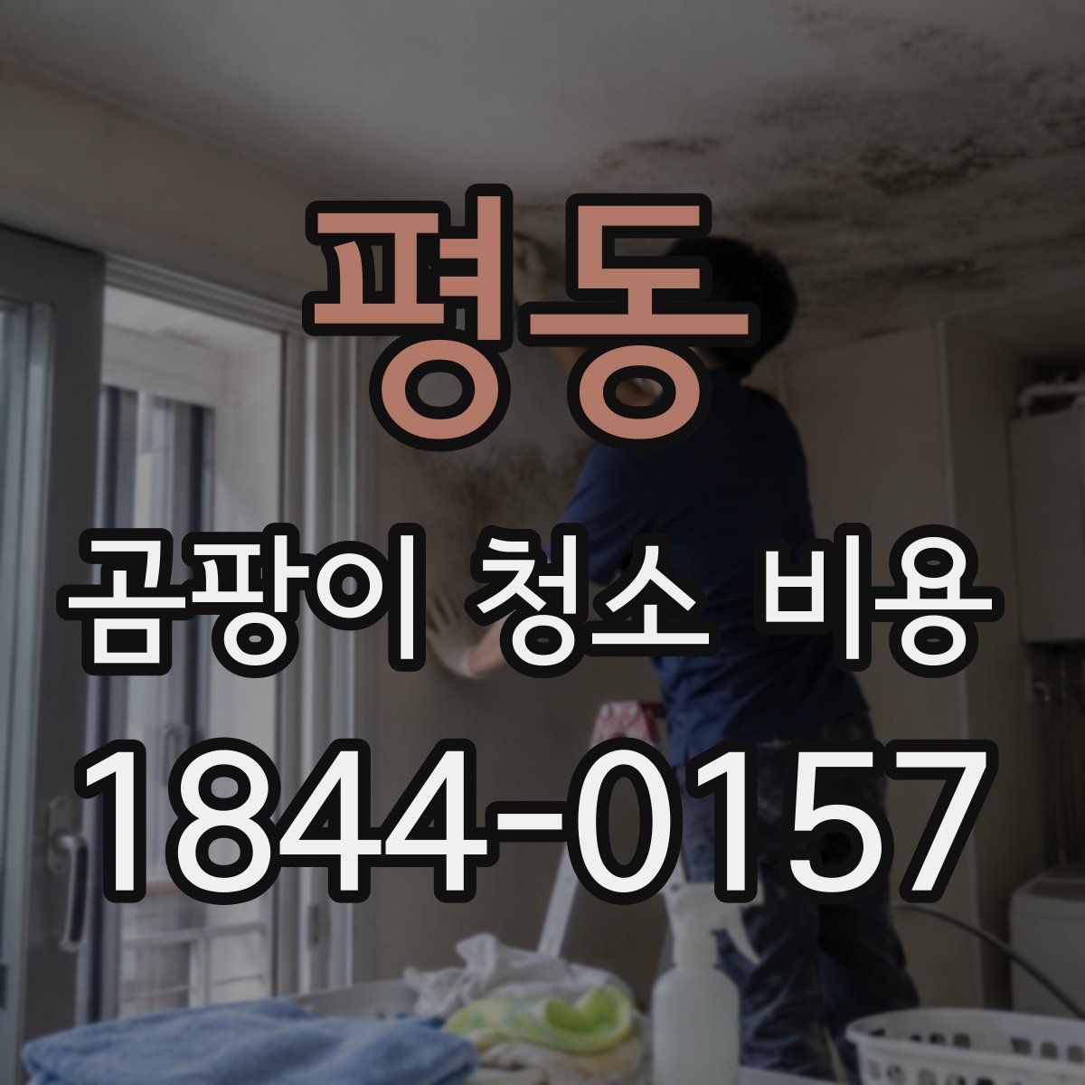 평동 곰팡이 청소 비용