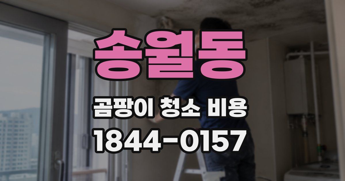 송월동 곰팡이 청소 비용