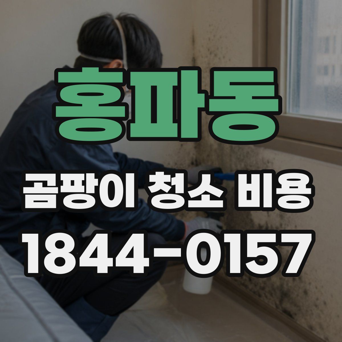 홍파동 곰팡이 청소 비용