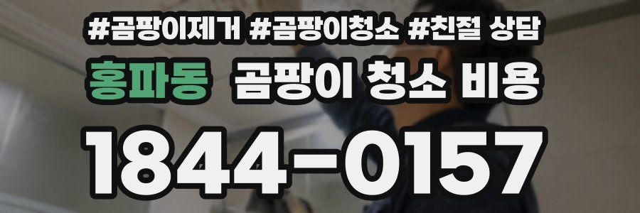 홍파동 곰팡이 청소 비용