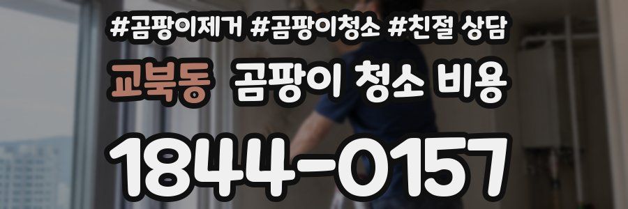 교북동 곰팡이 청소 비용