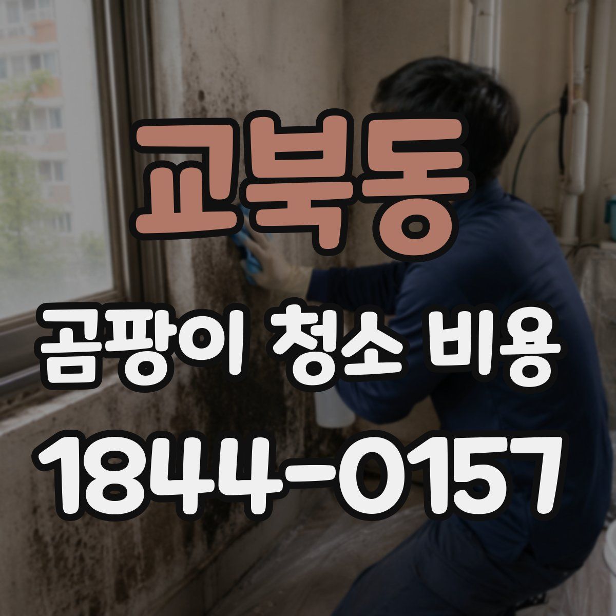 교북동 곰팡이 청소 비용