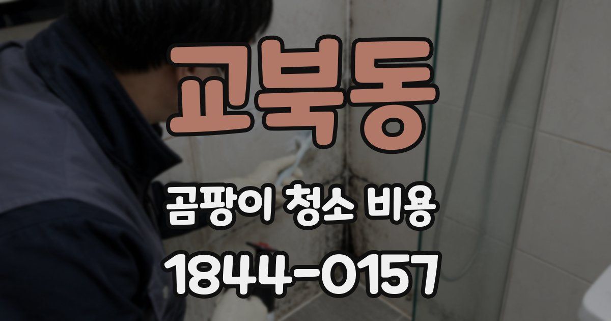 교북동 곰팡이 청소 비용