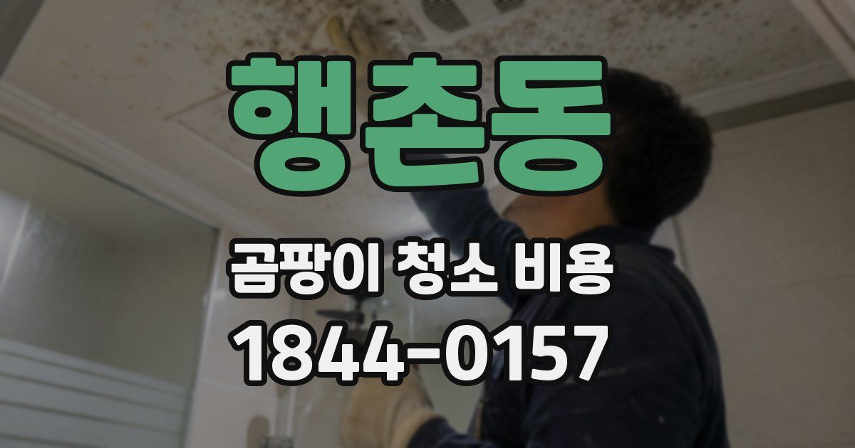 행촌동 곰팡이 청소 비용