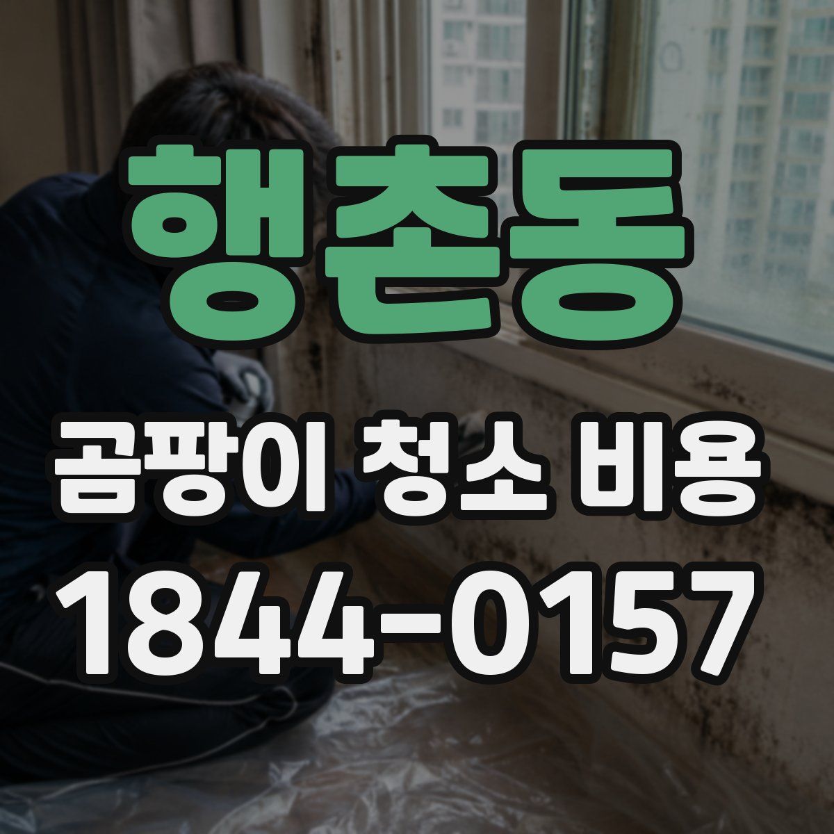 행촌동 곰팡이 청소 비용